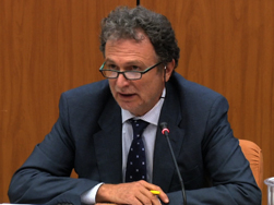 Stefano-Musso